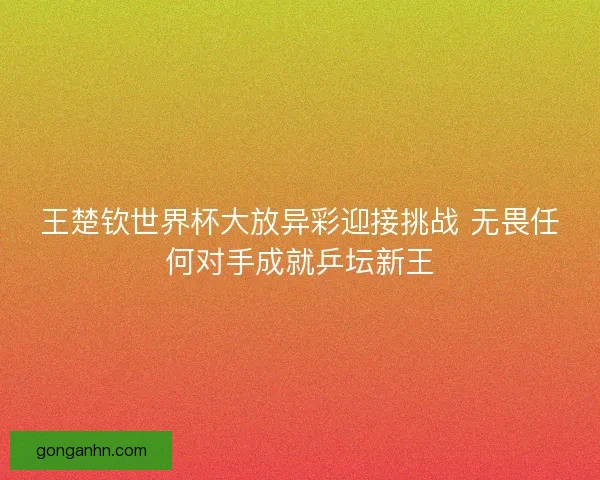 王楚钦世界杯大放异彩迎接挑战 无畏任何对手成就乒坛新王